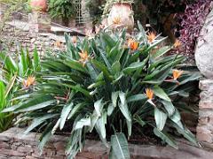 183 D36 LE LAVANDOU_000043